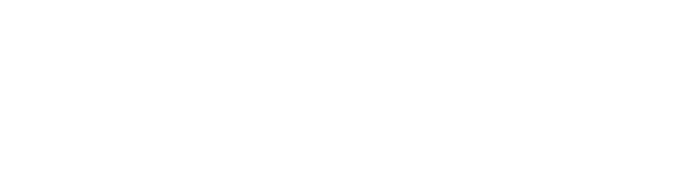NETLINE-CON — Electro-Con Impex