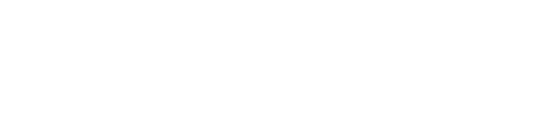 NETLINE-CON — Electro-Con Impex
